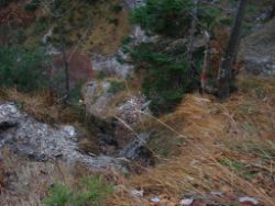 2013-10-26_Schildenstein (133).JPG